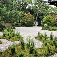 桔梗の花が咲く源氏庭