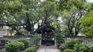 小楠公御墓所 (楠木正行の墓)