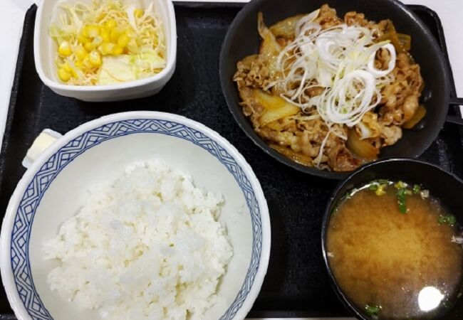 吉野家 成田国際空港第2ターミナル本館店