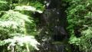 奥入瀬渓流を歩いた時に見た最初の滝でした。