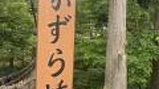 福井県のかずら橋