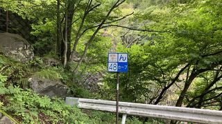 すごいカーブの連続！紅葉の季節は渋滞でゆっくり楽しめる！？