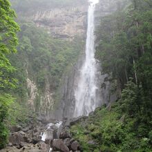 雨で水量が多かった