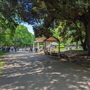 Large park with many trees, note that the bike path is narrow and visibility is poor in some parts