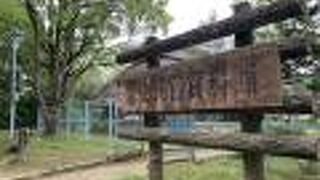 川西市歴史民俗資料館