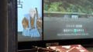 砲術の体験ができます