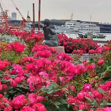 バラの花に囲まれて