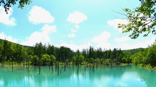 天気の良い早朝がお勧め