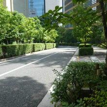 新榎坂の南側の様子です。新榎坂の閑静な環境が大きな特徴です。