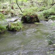 変化に富む奥入瀬渓流の景勝地の一つです。