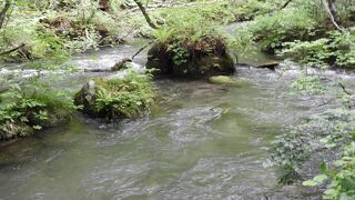 変化に富む奥入瀬渓流の景勝地の一つです。