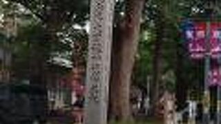 大きなケヤキ並木の通りです。