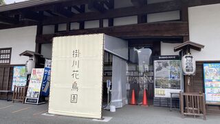 ふくろうさんと写真も撮れる