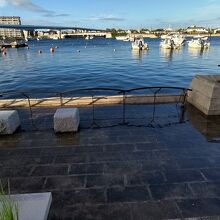 大潮で浸水した親水公園で自然の営みを体感