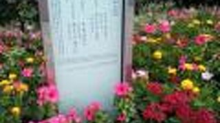 童謡を書いた野口雨情は お隣さん