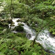 渓流の中にある岩に衝突して銀色に輝く急流です。