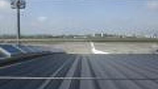 見ていて飽きません