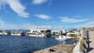 函館で楽しめる船です！