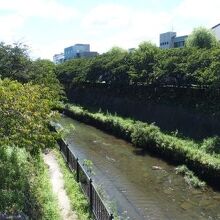 掛川市内を流れる逆川。