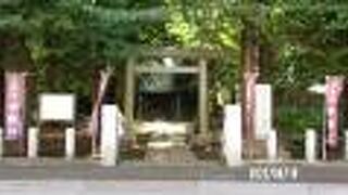 隣には別当寺になる井口院があります。