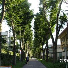 正門前からの景観です。