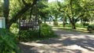 広大な緑豊かな公園です。