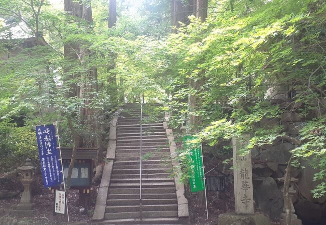 今高野山龍華寺