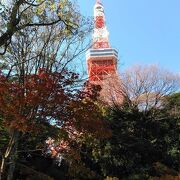 東京タワーの足元の紅葉スポット