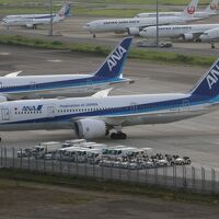 望遠レンズがあると結構よく撮れました