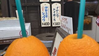 まるごと果汁店