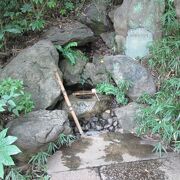 小金井散策(6)で滄浪泉園に行きました