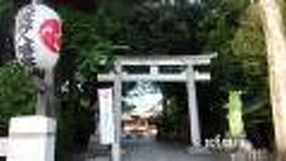 安養寺の西側に隣接しています。