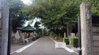 現在も広い境内の寺です。