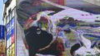 良かった〜まだニャンコいた！