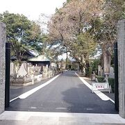 本堂前は駐車場になっていてちょっと殺風景