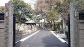 本堂前は駐車場になっていてちょっと殺風景