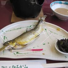 鮎は頭までやわらかでした