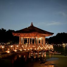 毎年見たいと思う美しさですね