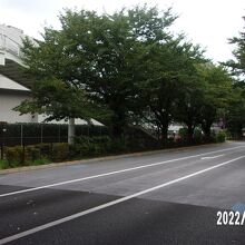 東京スタジアム近くからの景観です。