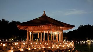 最高のライトアップでした