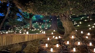 満足すること間違いなしです