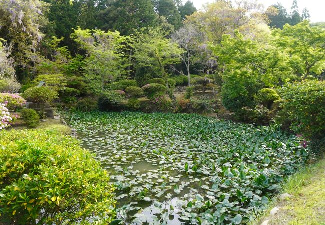 国照寺庭園