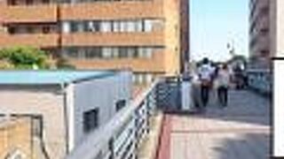 全長３キロ以上の長い散策路