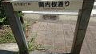 官庁街にある桜並木の通り