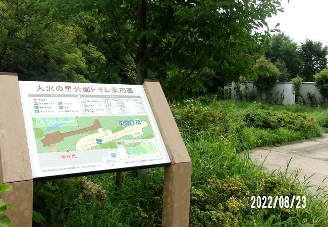 大沢の里公園あたりです。