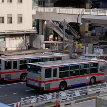 渋谷駅の東急バス