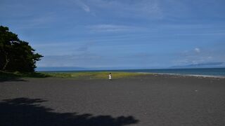 この日、富士山はカスミの向こうで見えなかったが、白砂青松は楽しめた