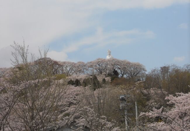 お花見とセットで