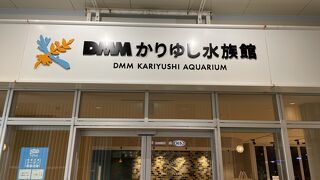 空港からバスで行けます。