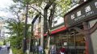 お洒落なお店も多数